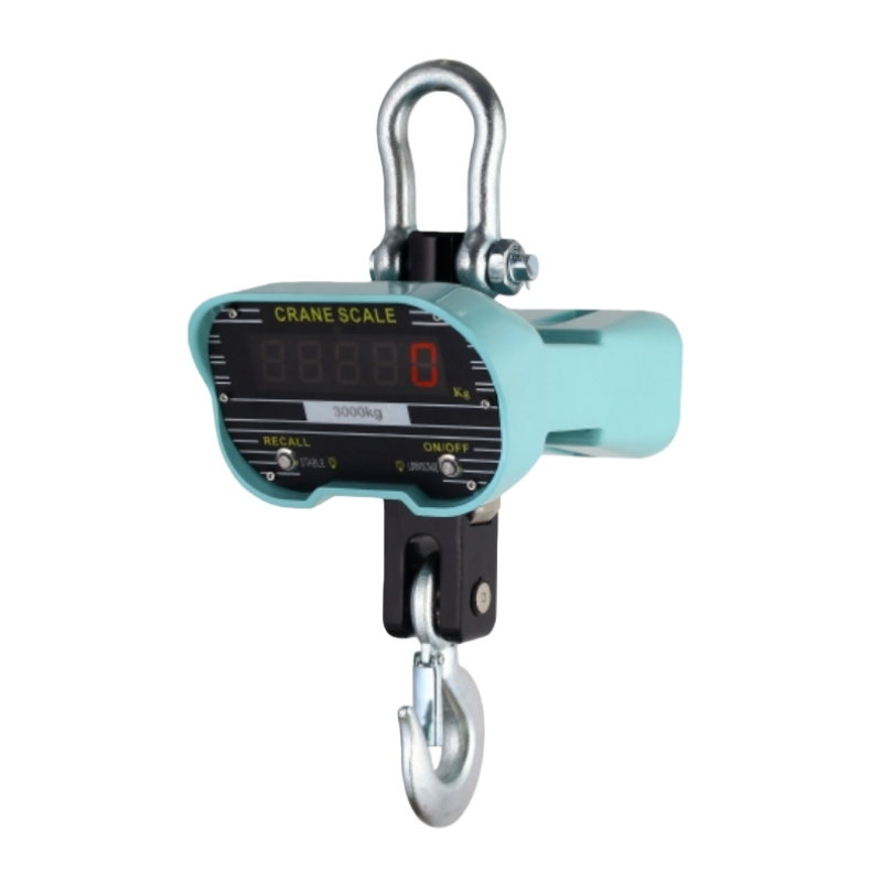 Electronic hanging scale